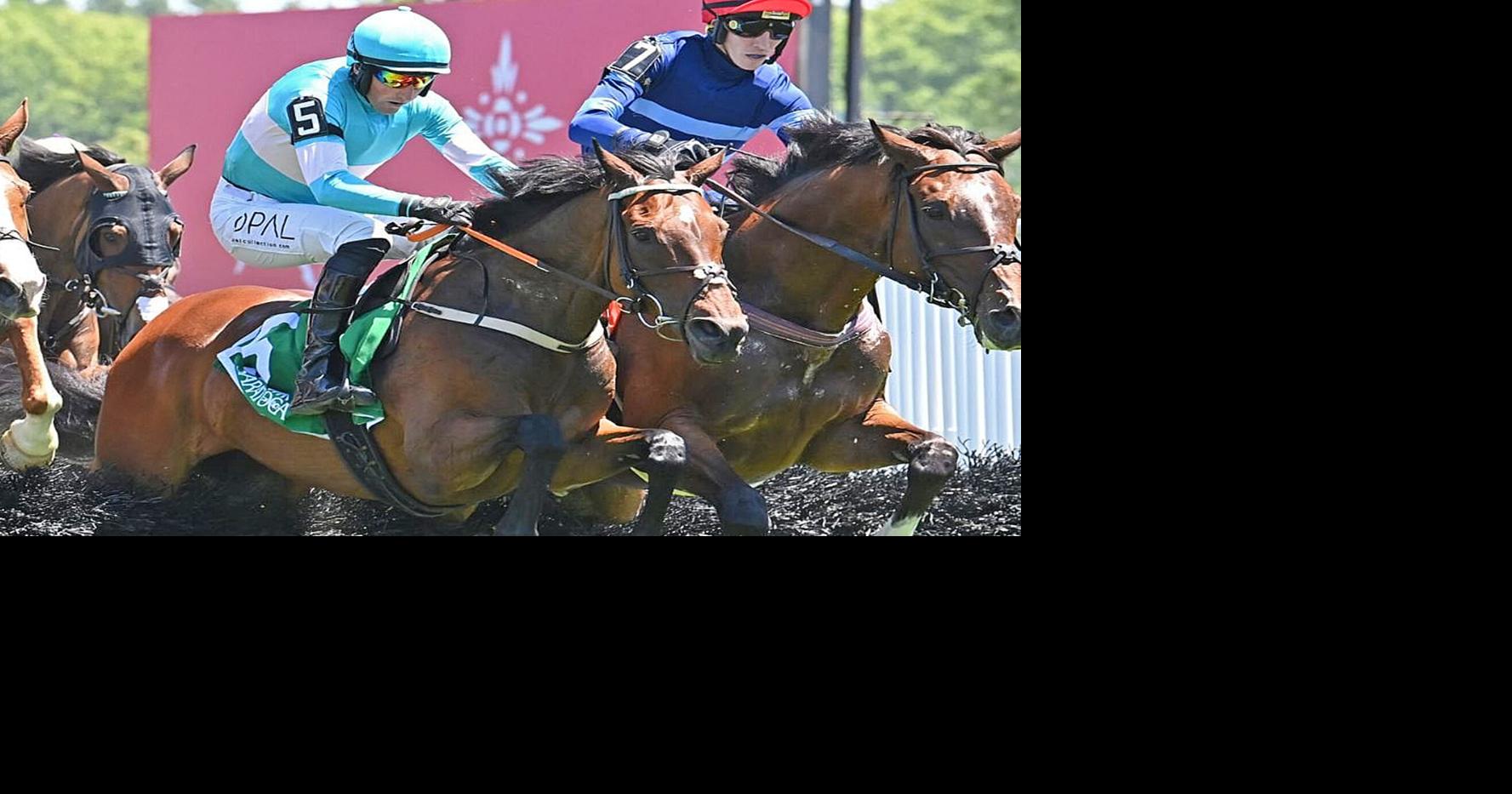 Jimmy P uses late burst to capture Steinman Stakes