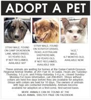 Adopt A Pet 9-28-22
