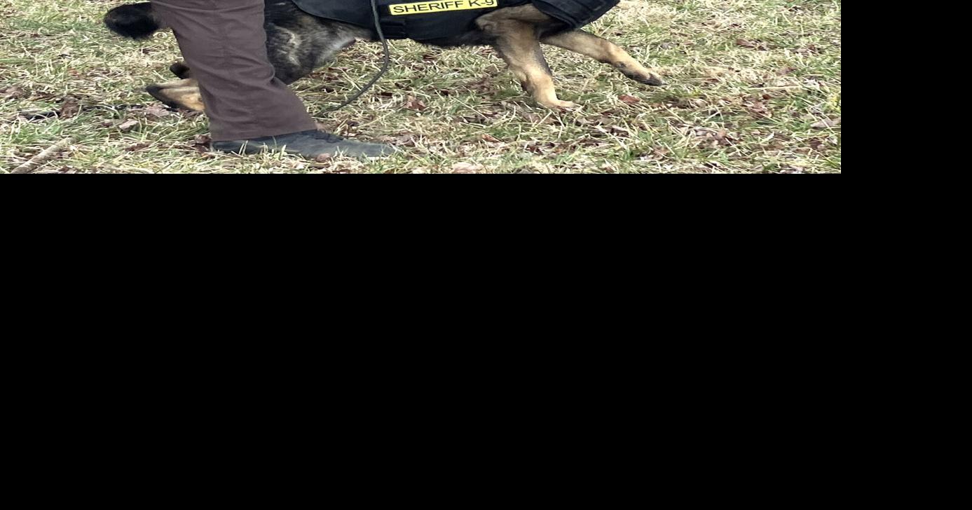 Donors provide vest for K9 officer | News | pmg-va.com