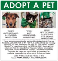 Adopt A Pet 3-22-23