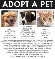 Adopt A Pet 5-3-24