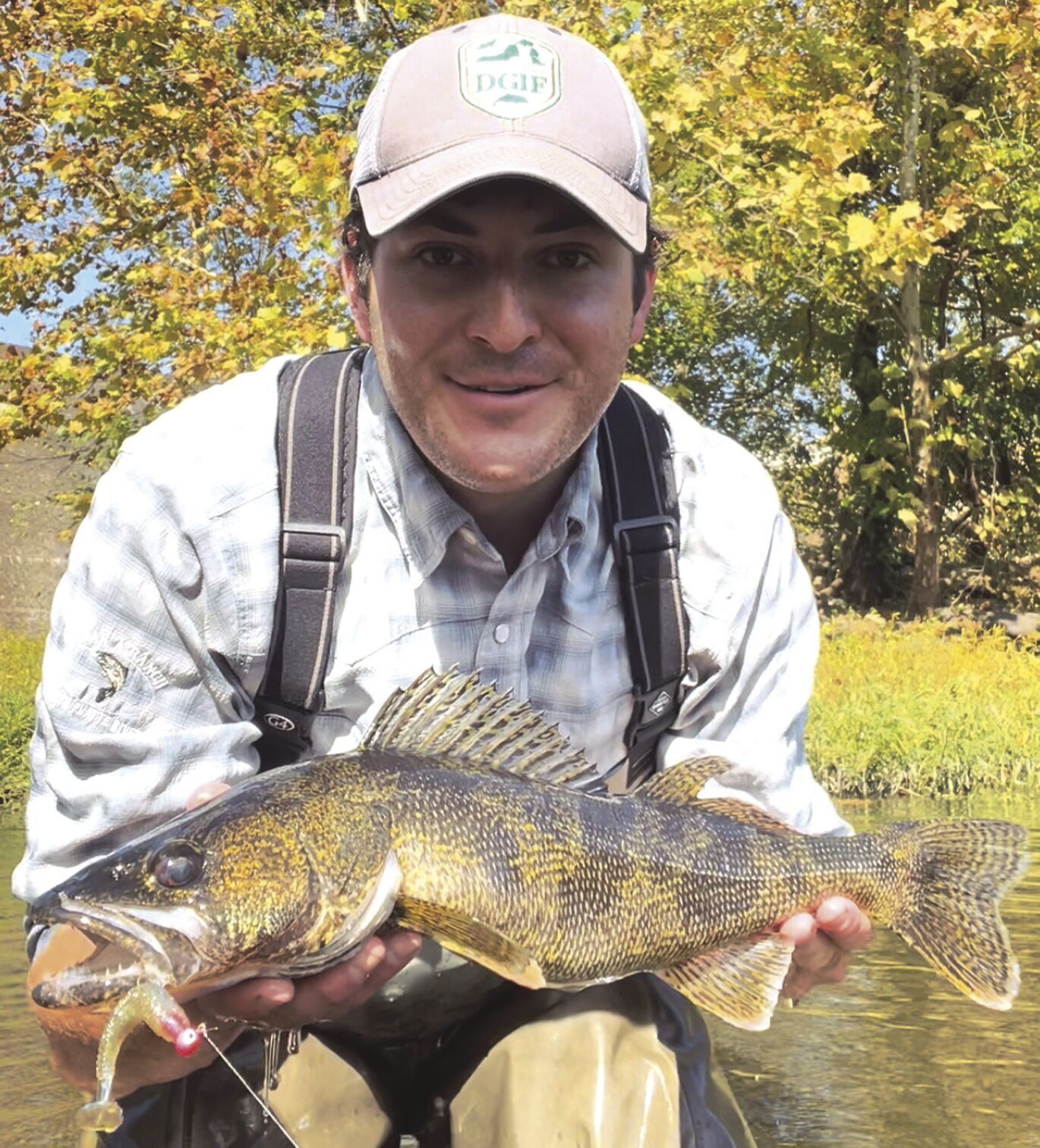 Saugeye Are A Great Fish To Target | | Pmg-va.com