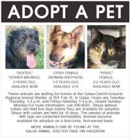 Adopt A Pet 5-13-22
