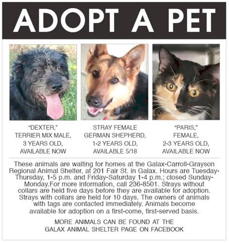 Adopt A Pet 5-13-22
