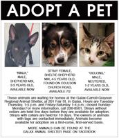 Adopt A Pet 6-24-22