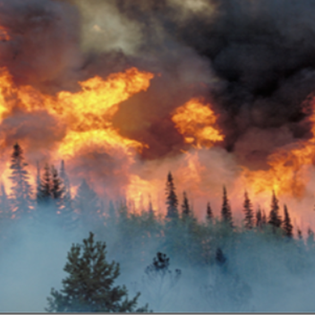 Red Cross issues wildfire preparedness advisory - Vimarsana News