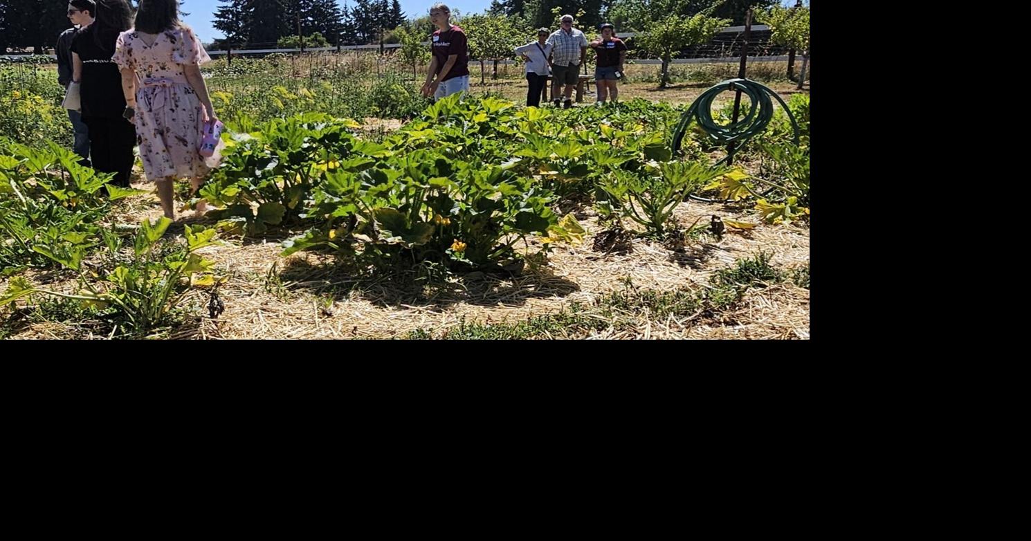 Youth garden grows more than vegetables
