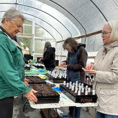 Master Gardeners planting seeds for 32nd annual plant sale - Vimarsana News