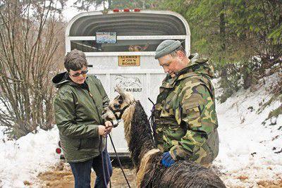 On The Road To Recovery Archive Polkiocom