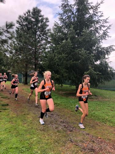 OSAA approves 2020-21 activities calendar | Free News | polkio.com