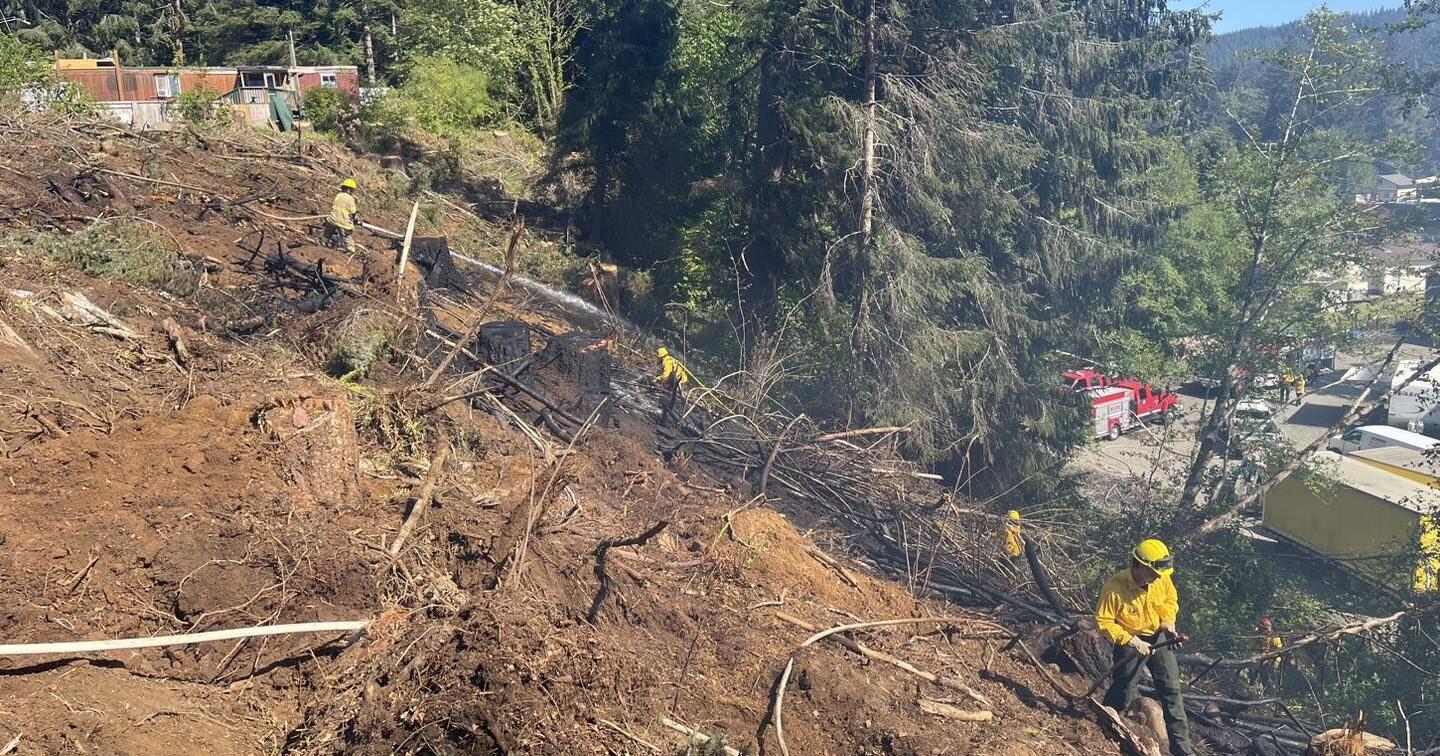 A close look at the 2024 wildfire season - Vimarsana News