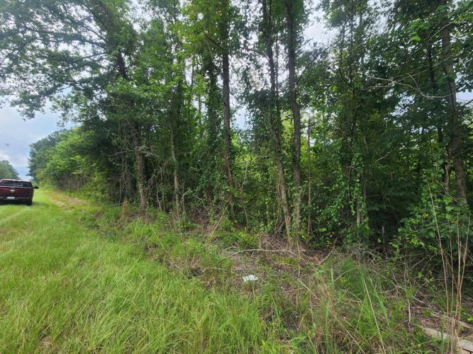 1 Freedom Road, Branchville, SC 29432 Land For Sale