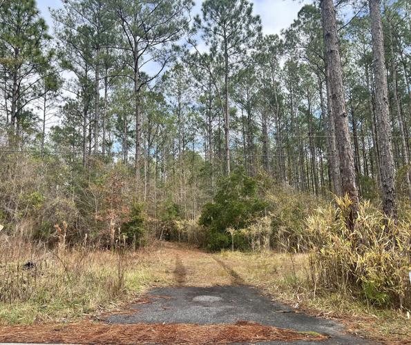 0 S Santee Road, Awendaw, SC 29429 Land For Sale