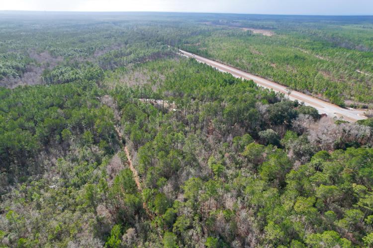 0 S Santee Road, Awendaw, SC 29429 Land For Sale