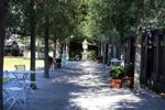 Piccolo Spoleto's sundown poetry series moves from Dock Street courtyard to Gibbes garden