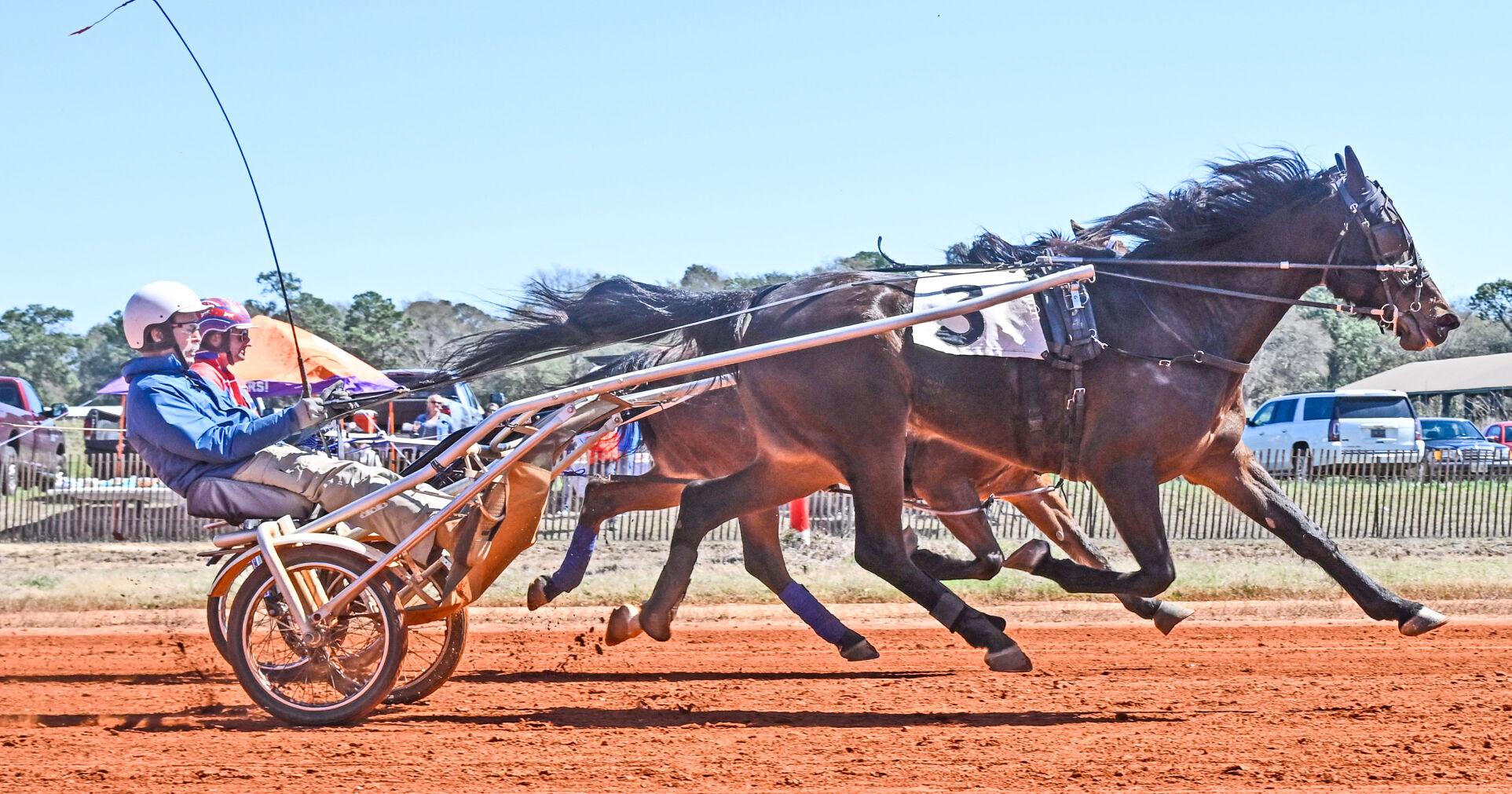 Harness Races held at McGhees' Mile in Aiken on Sunday | Aiken Area News - Vimarsana News