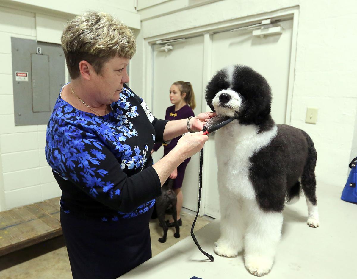 Charleston Kennel Club