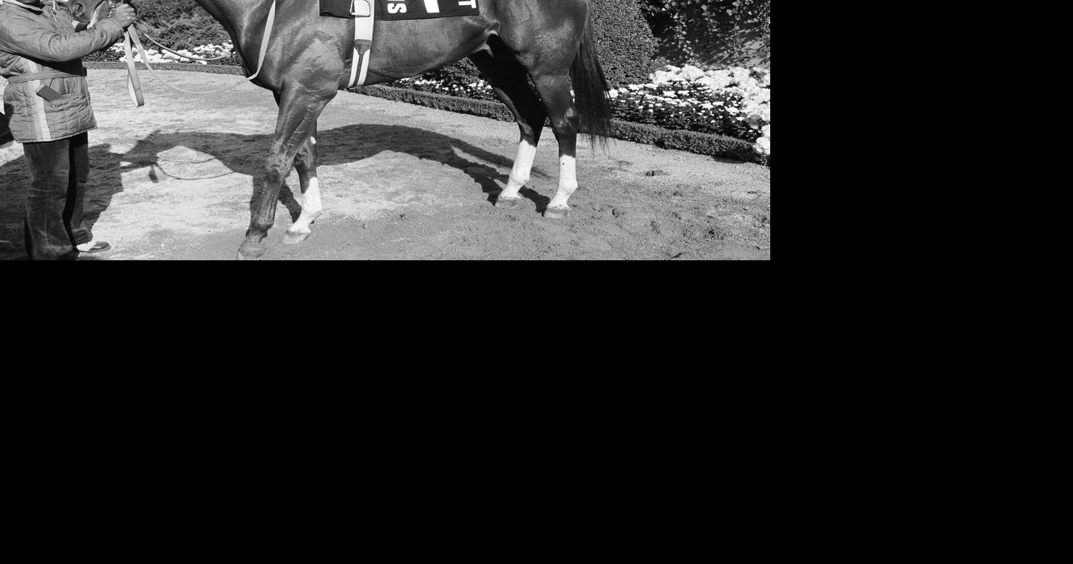 Ahead of the Kentucky Derby, here is a look at SC's ties to Secretariat — the sport’s greatest race horse