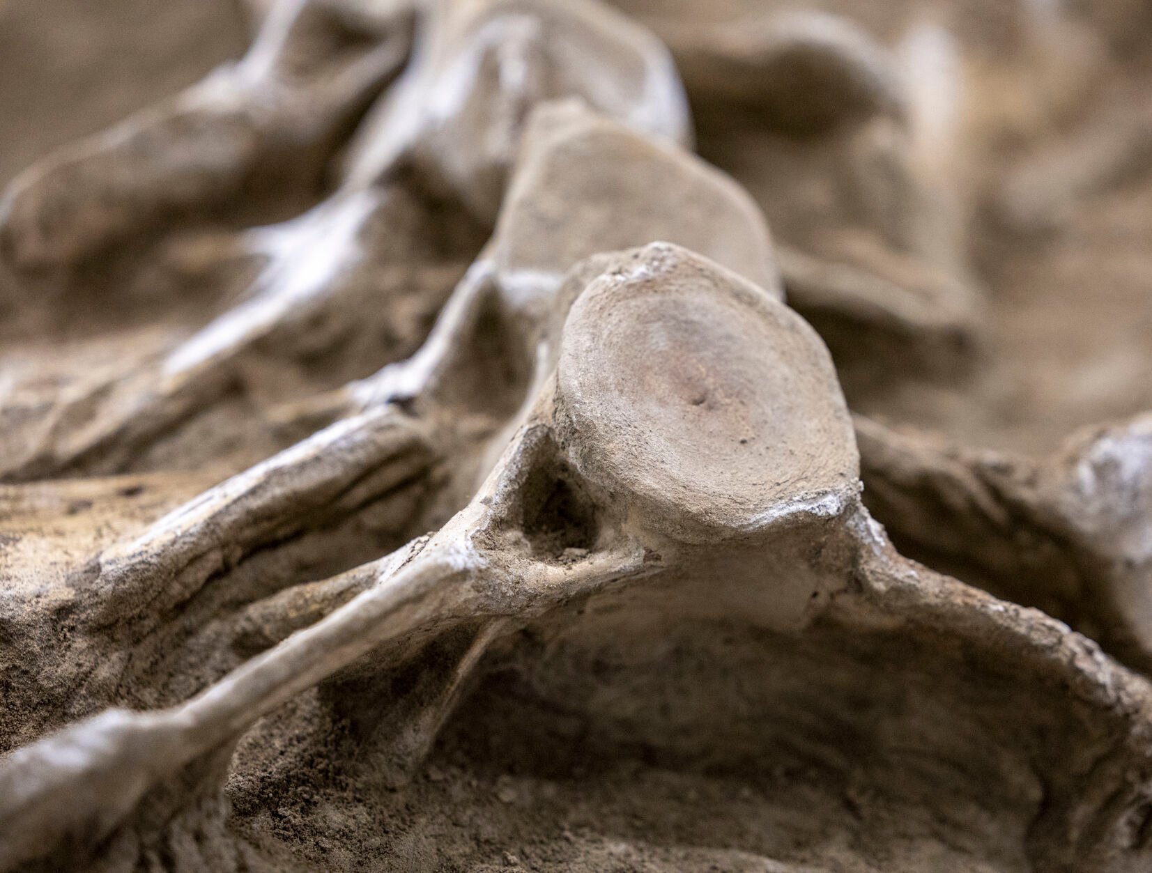 eight million golf skull afro patch cap eight million golf skull afro patch cap Deteriorating adobe barn