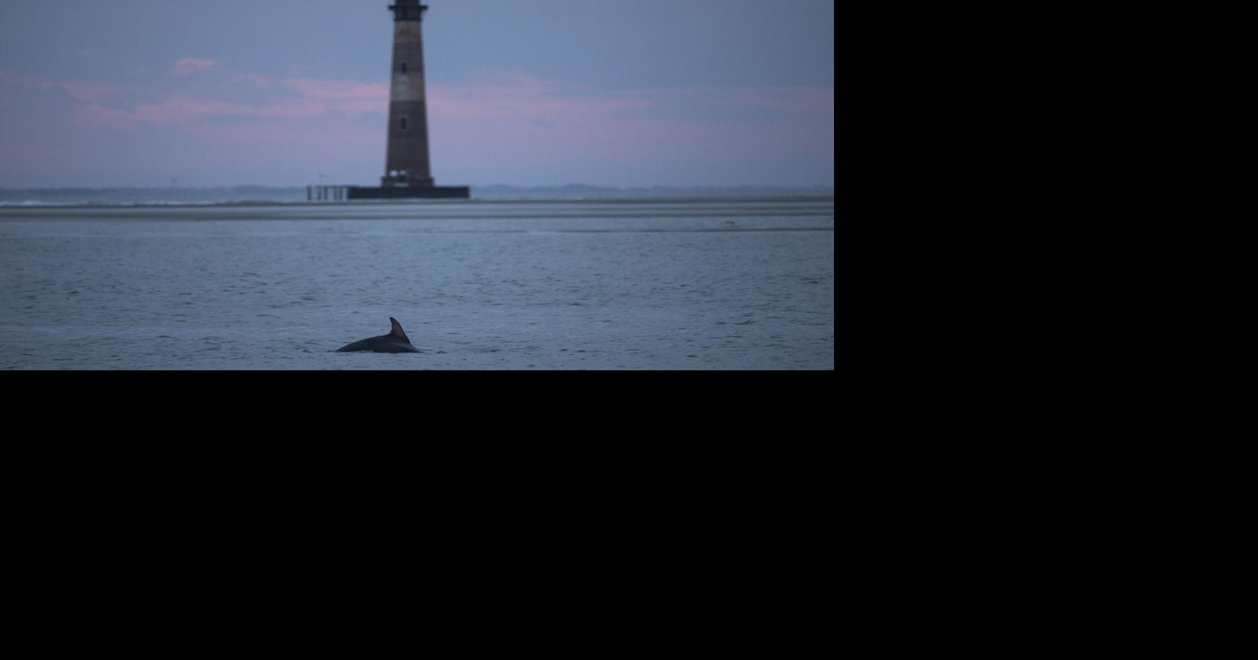 Folly Beach is an island with a laid-back vibe and plenty to see