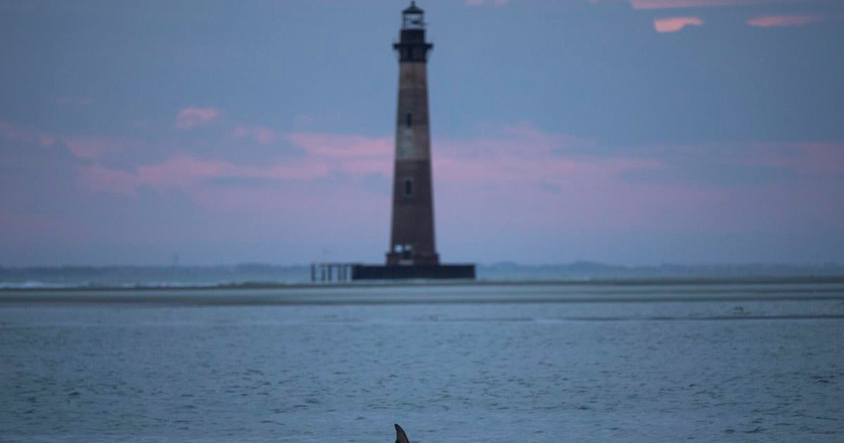 Folly Beach is an island with a laid-back vibe and plenty to see
