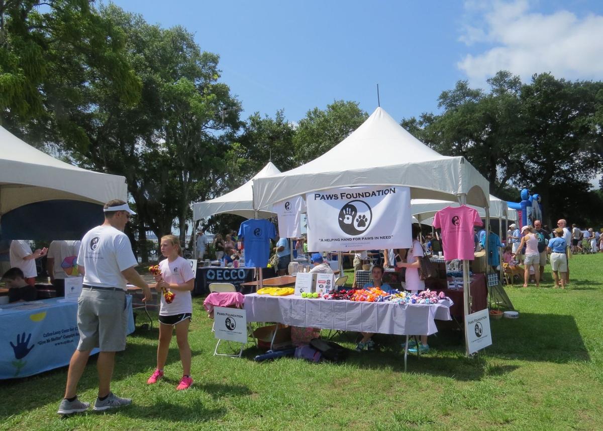 10th Annual Rotary Charity Duck Race