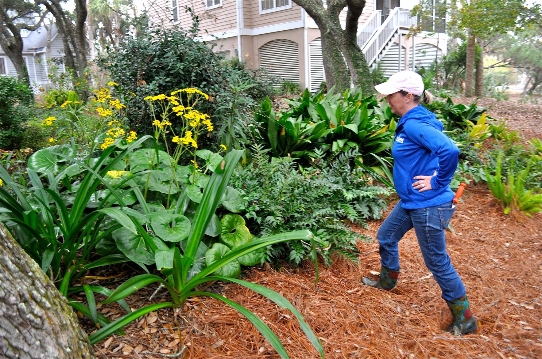 Leave the leaves? Some locals realize the value of leaves for soil