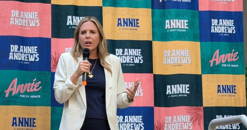 Democrat Annie Andrews couldn't win a swing congressional seat. Can she flip a red Senate seat now?