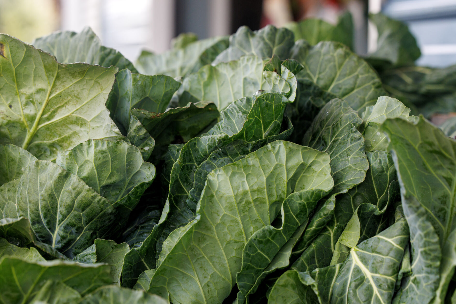 Collards Sc SC farm stands get prosperous boost from New Year's collards