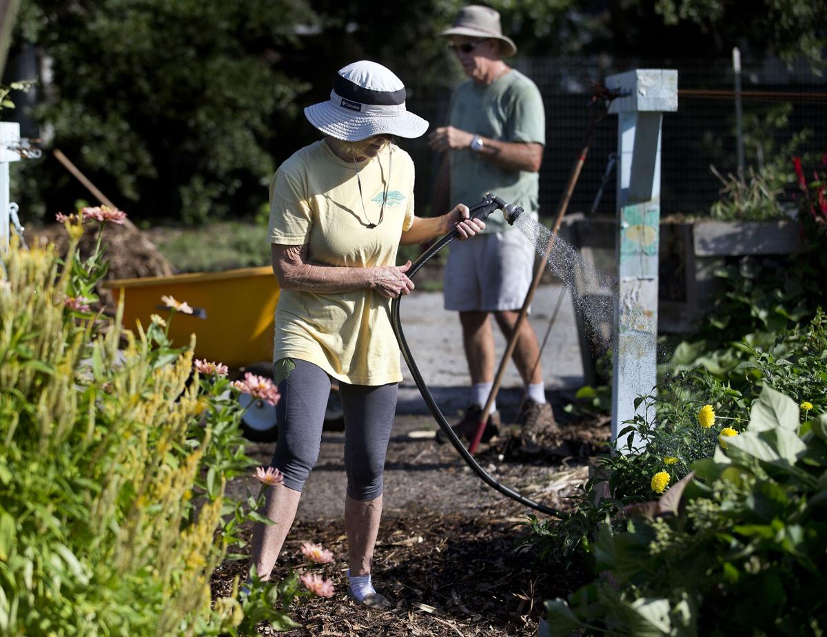 gardner watering.jpg