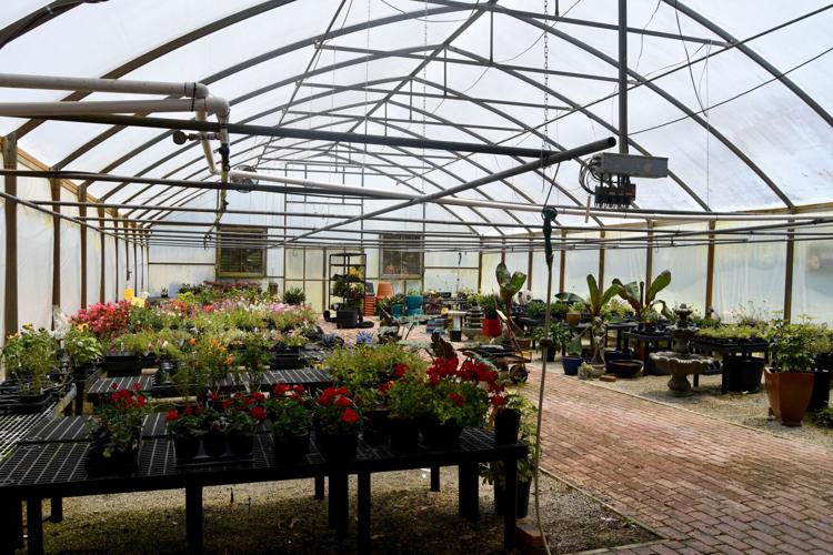 Longtime North Augusta greenhouse and plant shop, Nurseries Caroliniana, to close its doors