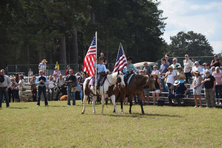 Best of the West sale horses put on a show at the Aiken Training Track