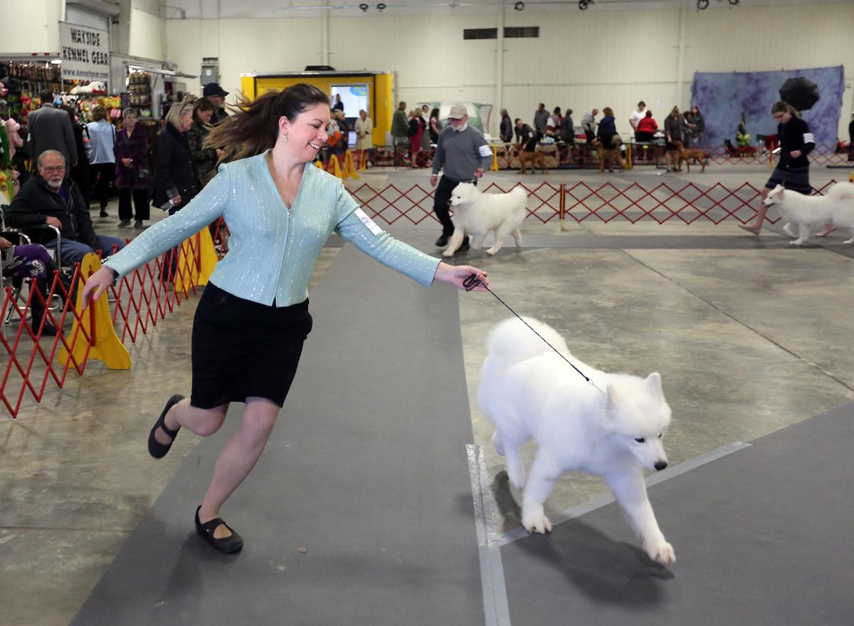 Charleston Kennel Club