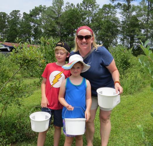 Lowcountry Blueberry Jam & Blueberry Festival in McClellanville