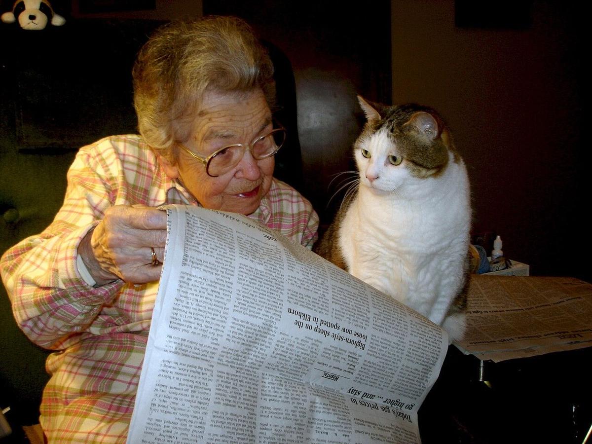 Feline Friends Robichaux.jpg