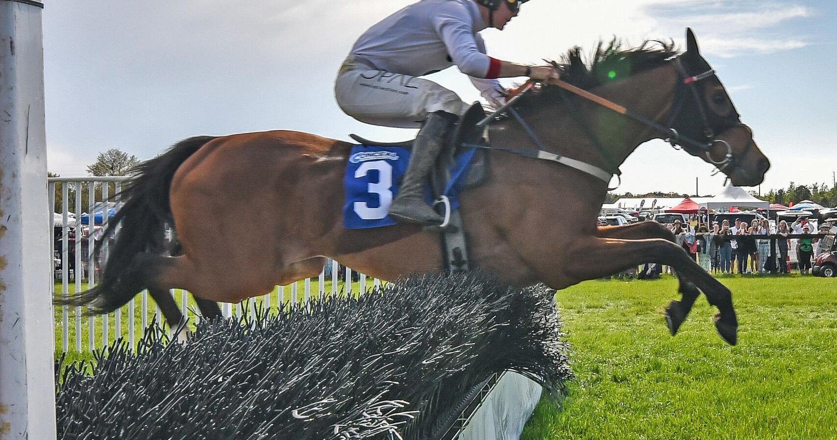 Aiken Spring Steeplechase set for today | Aiken Area News - Vimarsana News