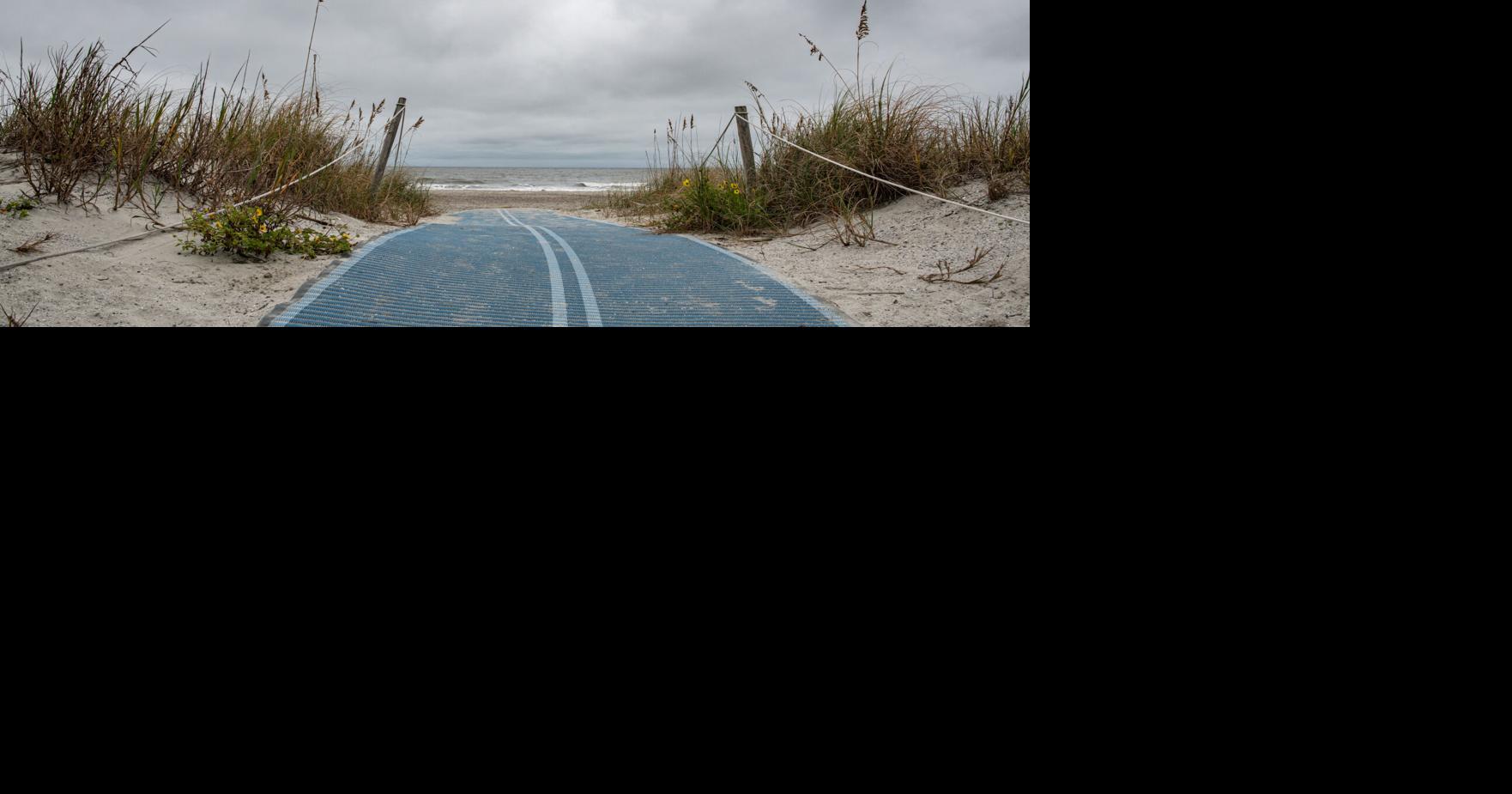 Swimming to escape the South Carolina heat? Here's how to avoid a shark bite.