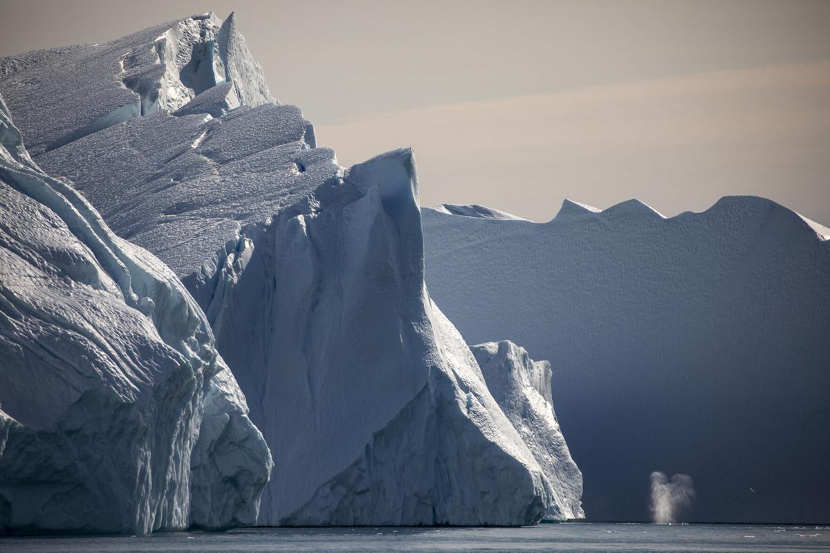 whale water spout.JPG