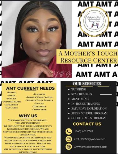 AMT Flyer pic
