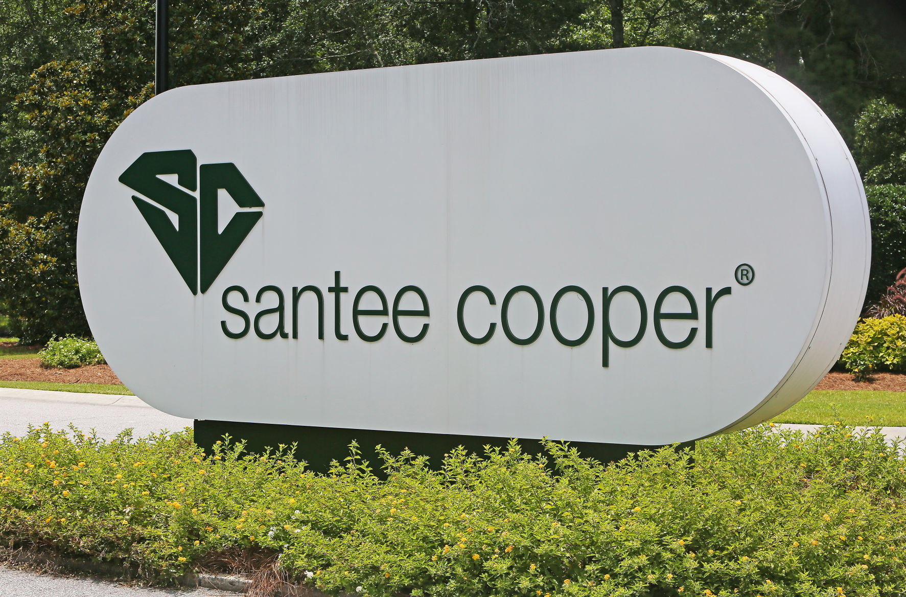 Santee cooper online electric