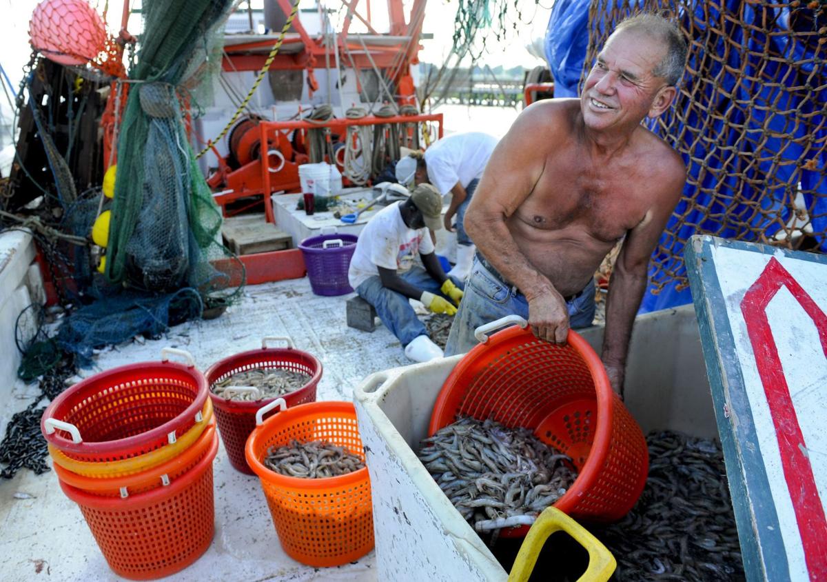Shrimping on the Winds of Fortune