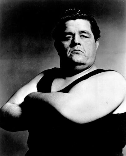 Ron Harris, Pro Wrestling