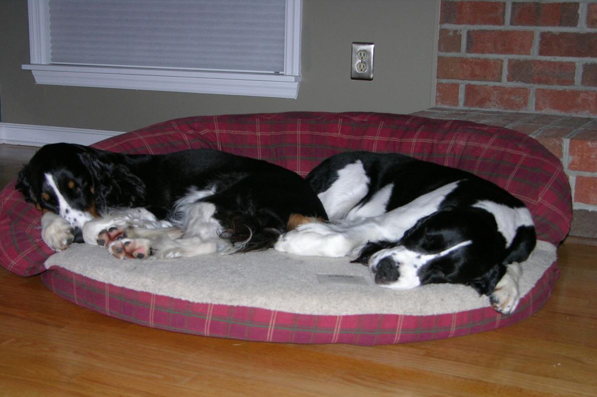 Pat-Becky-Neuhaus Pair.JPG