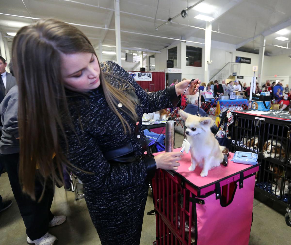 Charleston Kennel Club