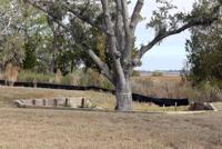 Johns Island Drainage