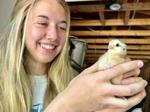 Taylors teen launches chicken business on summer break