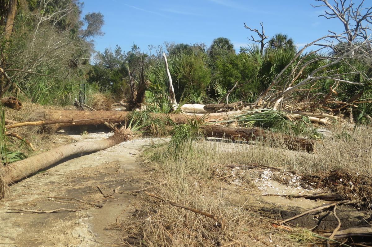 Botany Bay damage (copy)