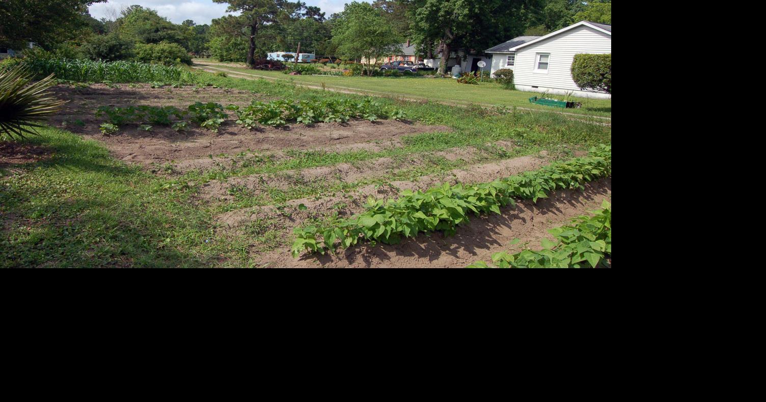 County leaders side with Snowden residents, call Mount Pleasant annexation rules unfair News