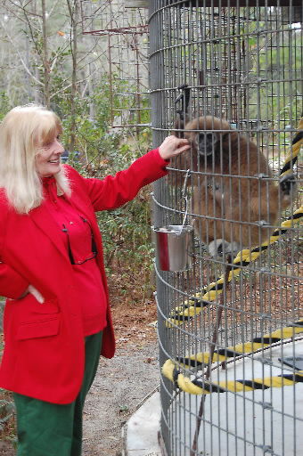International Primate Protection League