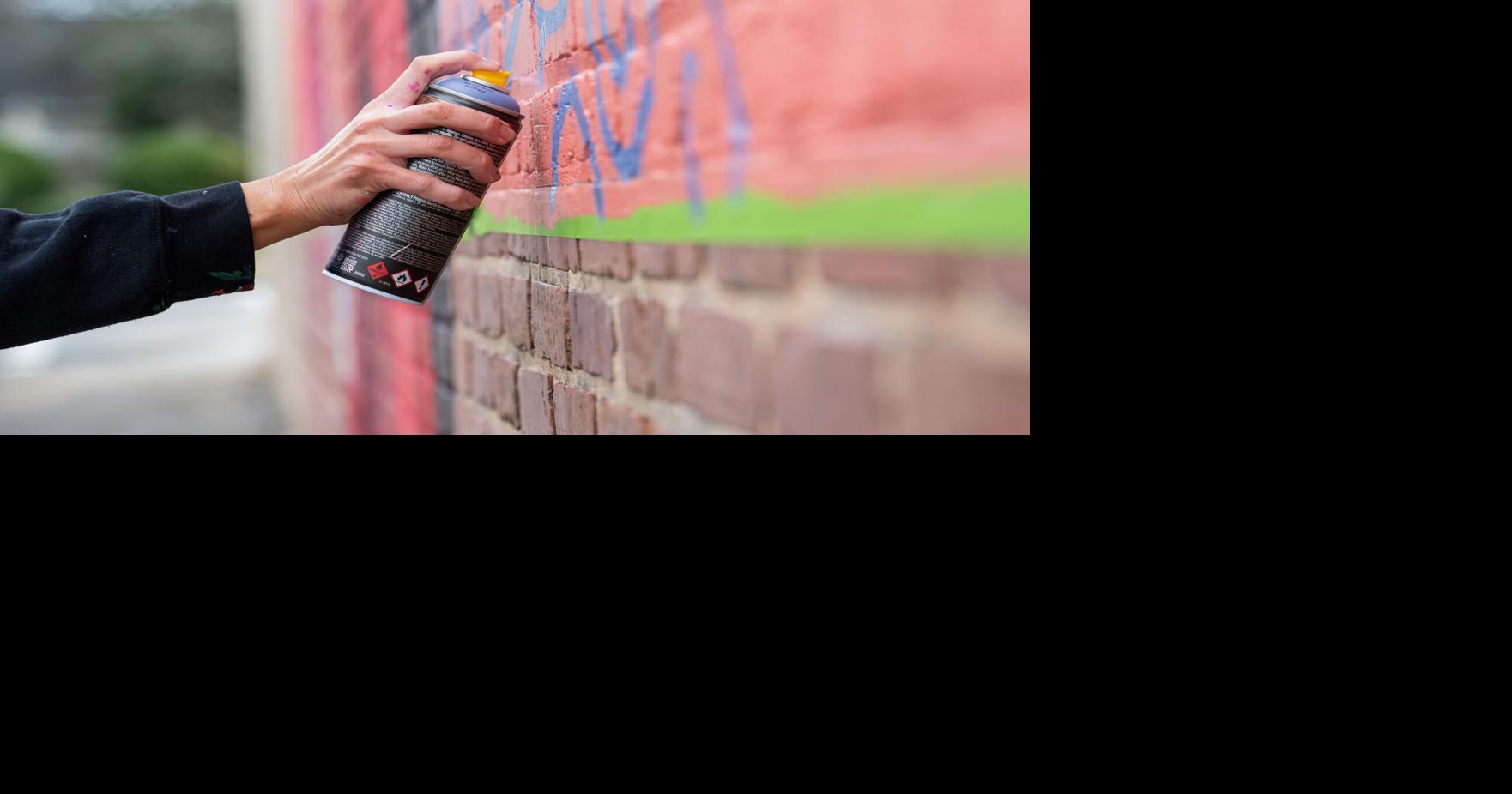 Charleston needs more murals, artists say. Here's why and what challenges stand in their way.